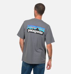 PATAGONIA T-Shirts | T-Shirt P6 Logo Plume Grey