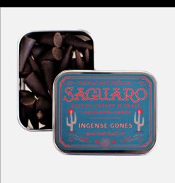 GOOD & WELL SUPPLY CO Maison | Saguaro Incense 25