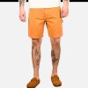 STAN RAY USA Shorts | Painter Short Driftwood Duck