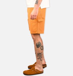 STAN RAY USA Shorts | Painter Short Driftwood Duck