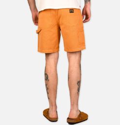 STAN RAY USA Shorts | Painter Short Driftwood Duck