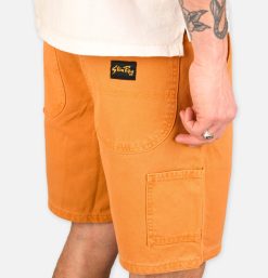 STAN RAY USA Shorts | Painter Short Driftwood Duck