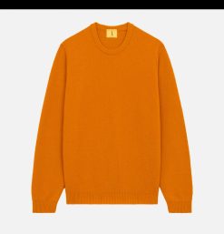 NITTO KNITWEAR Pulls & Cardigans | Pull Youri Coton Ocre