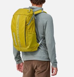 PATAGONIA ACCESSORIES Sacs A Dos | Sac Black Hole Pack 25L Shrg