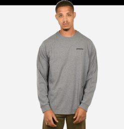 PATAGONIA T-Shirts | T-Shirt P6 Logo Ml Grey