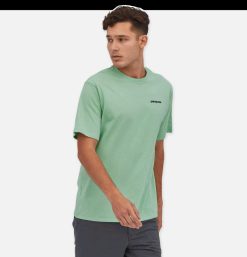 PATAGONIA T-Shirts | T-Shirt P6 Logo Tea Green