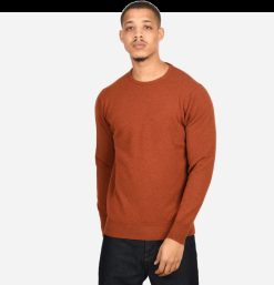 WILLIAM LOCKIE Pulls & Cardigans | Pull Col Rond Tiger